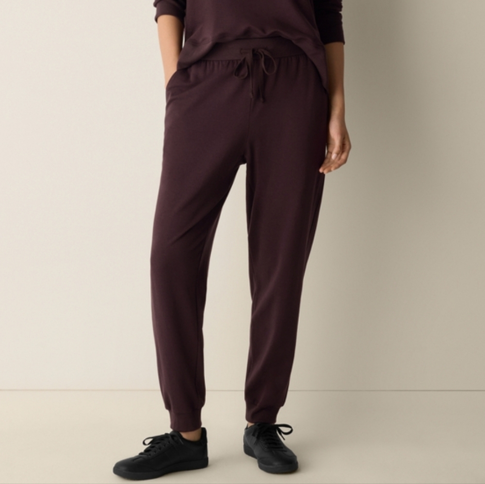 Eileen Fisher Cozy Brushed Terry Hug Jogger Pant XXS